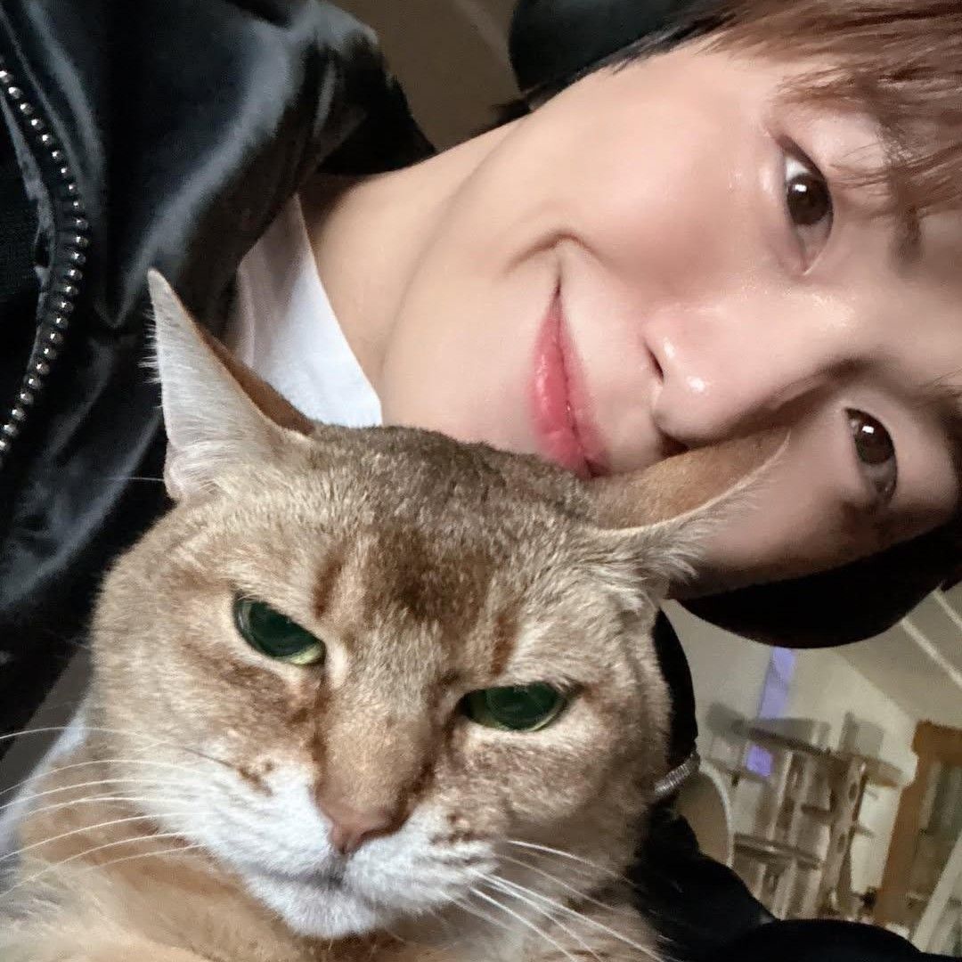 강다니엘의 최신 사진