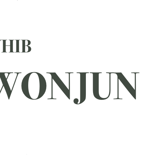 A moment captured by Wonjun (WHIB)'s fan