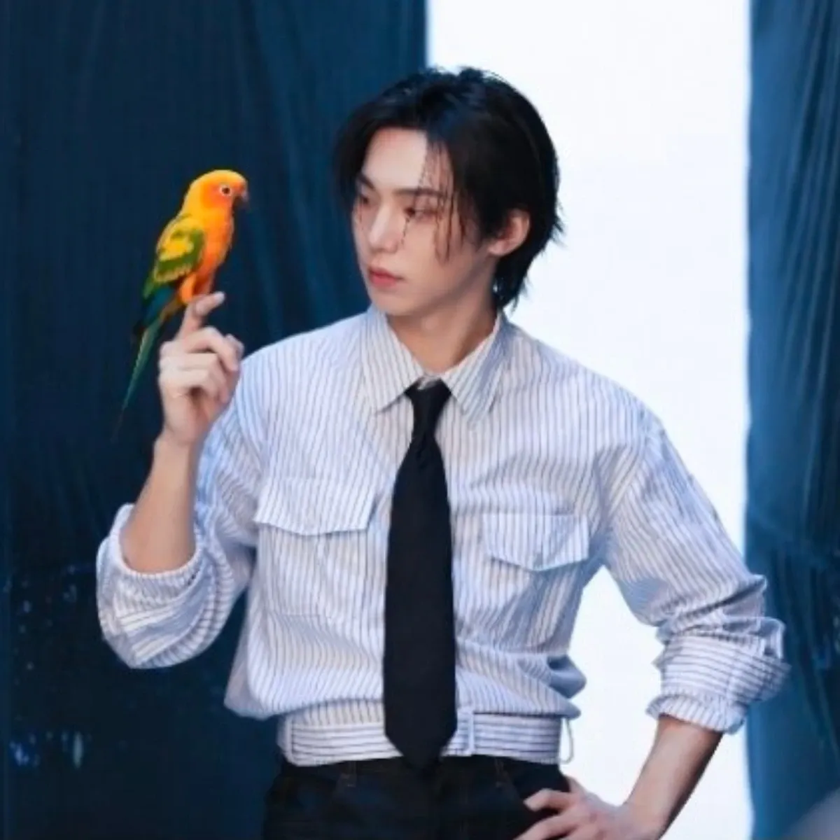 A moment captured by Rocky's fan