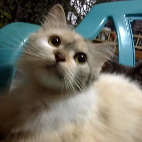 EXO의 최신 사진