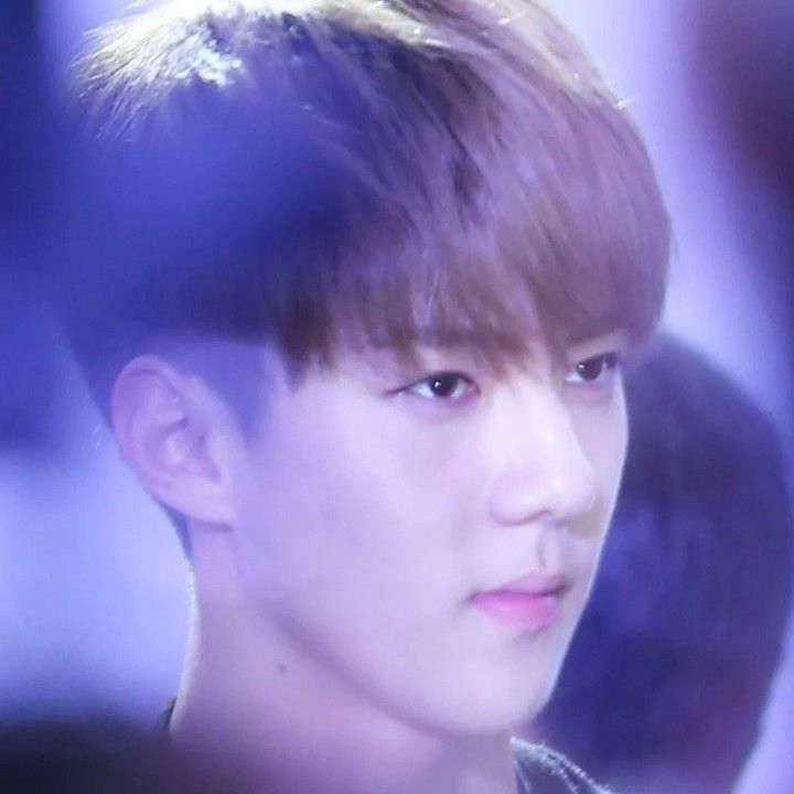 세훈 (EXO) 최근 활동샷