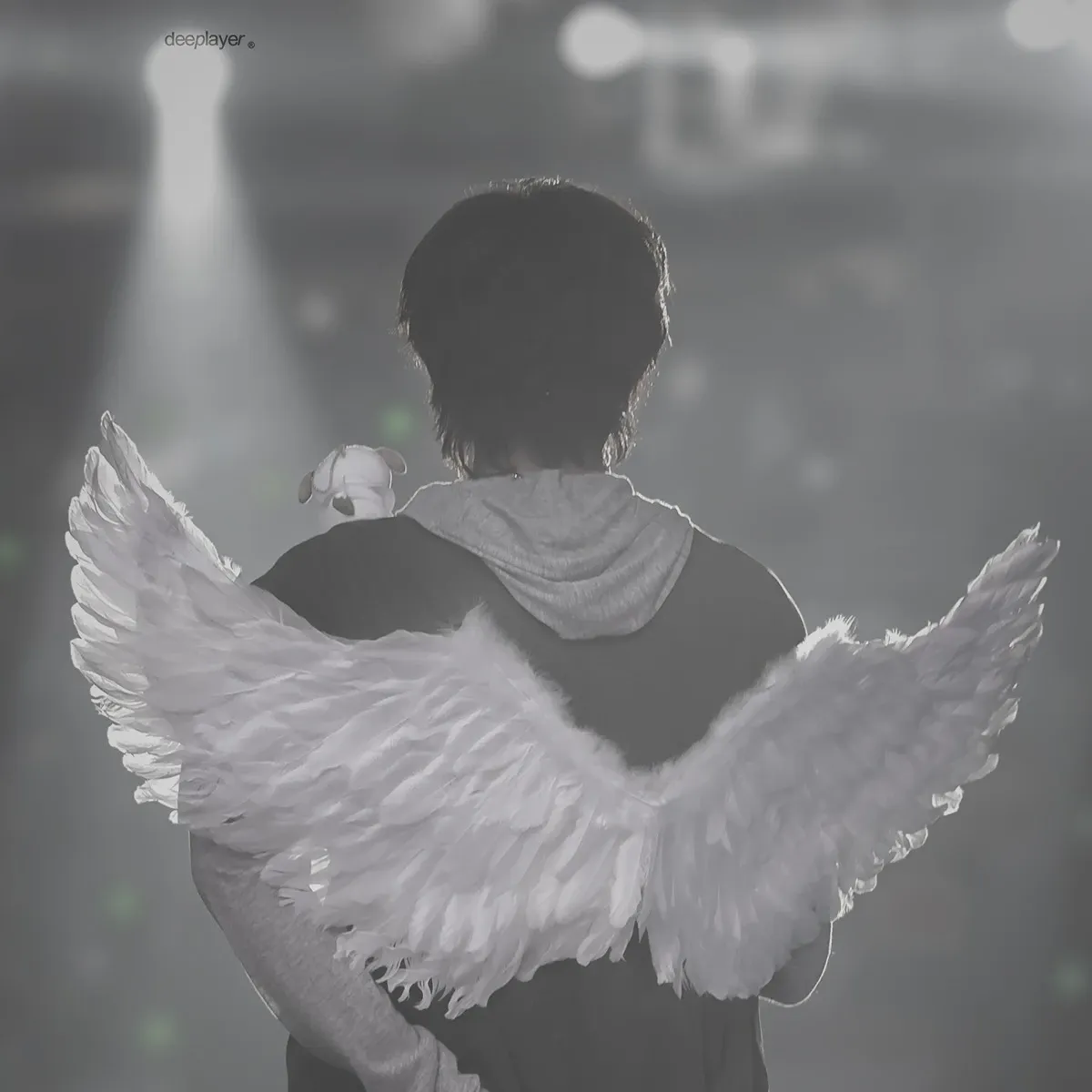 Today's hottest K-pop community feed