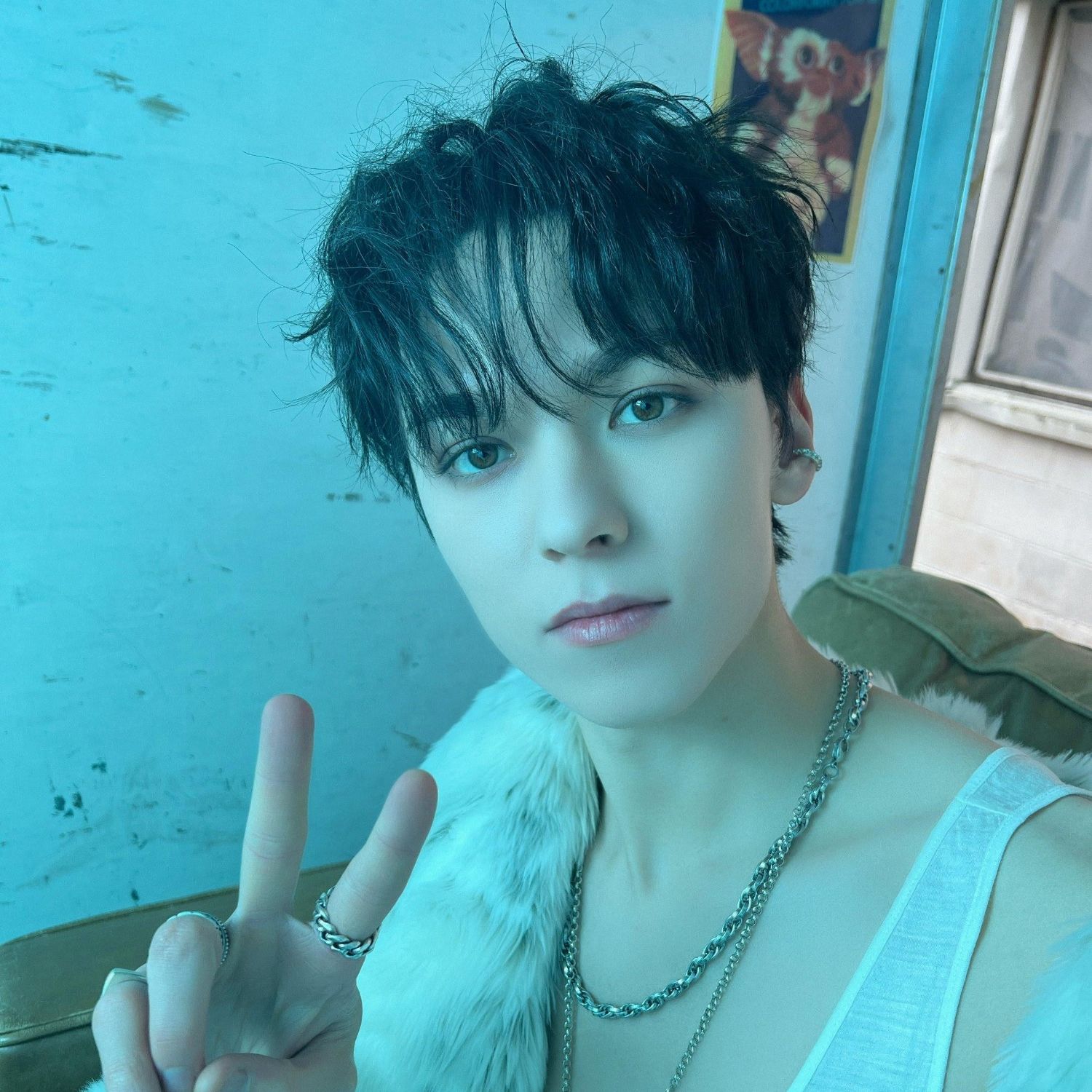 SEVENTEENファンが撮った瞬間