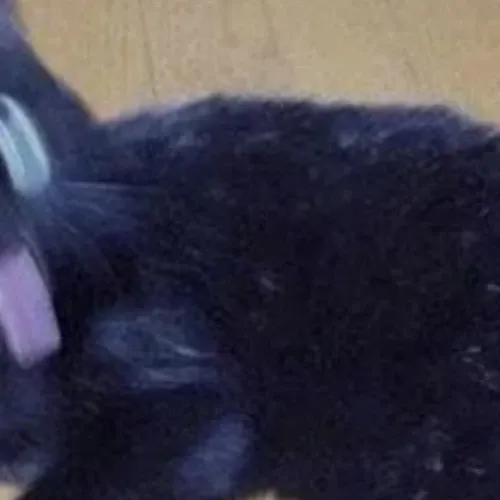 Behind-the-scenes cut of Wooyoung (ATEEZ)