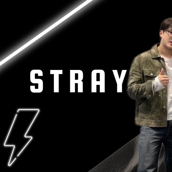 Stray Kids 최근 활동샷