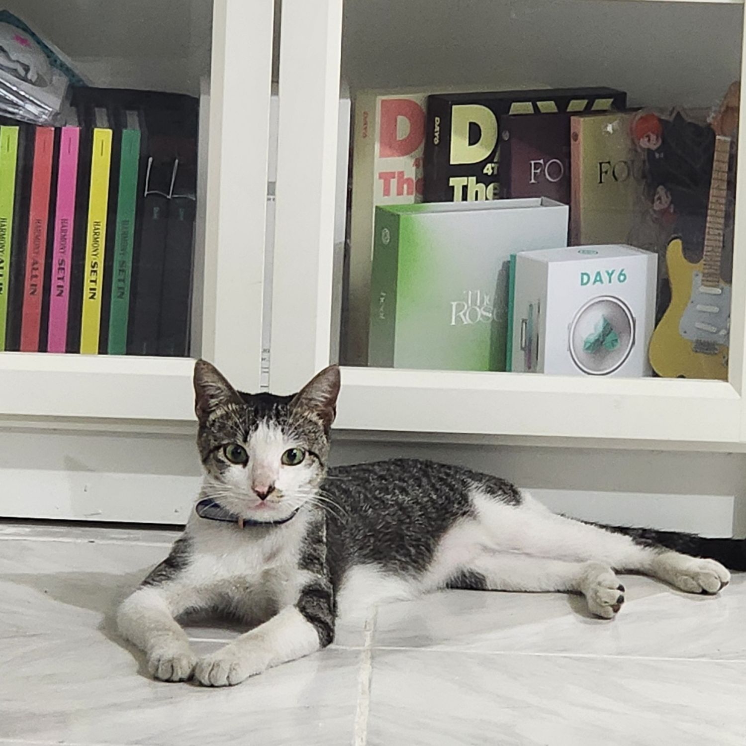 Potret di balik layar SEVENTEEN