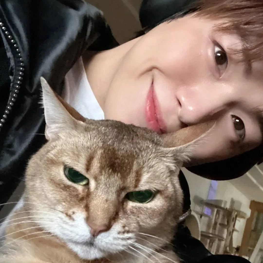 강다니엘의 최신 사진