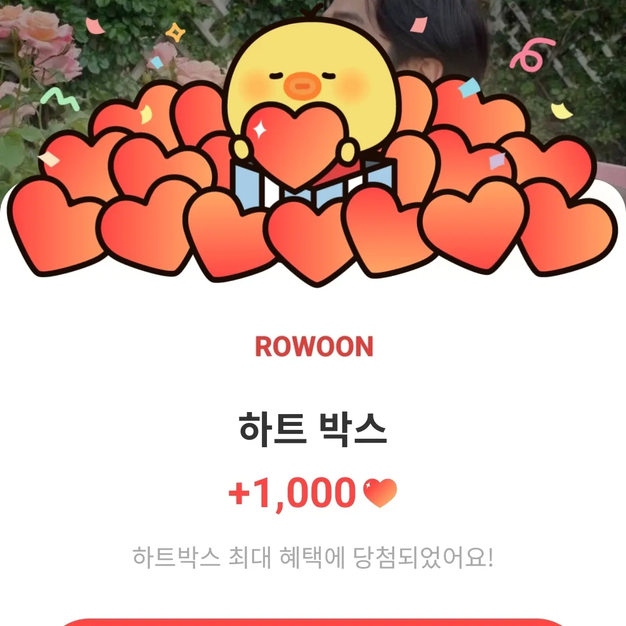 로운의 비하인드 컷