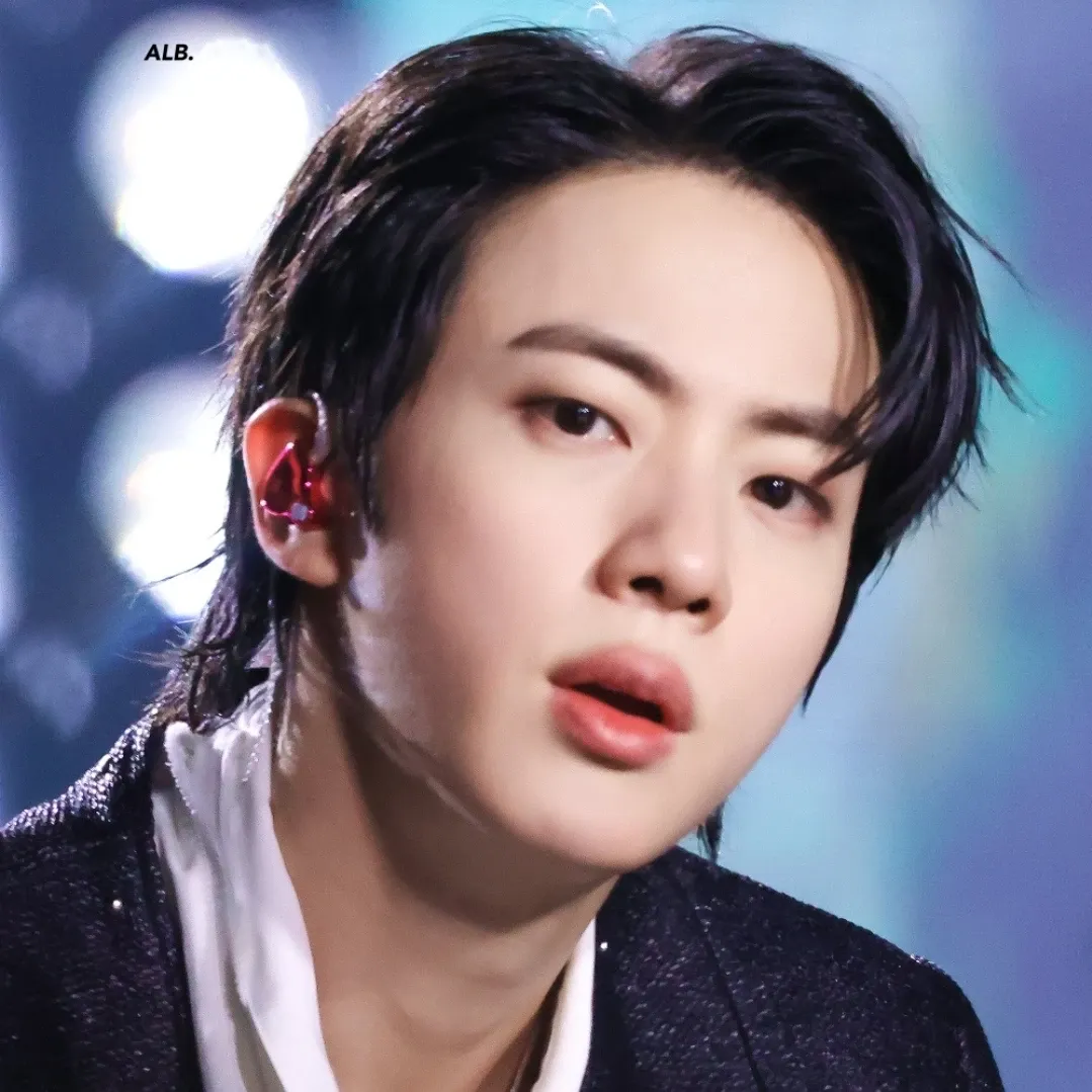 진 (방탄소년단) 팬이 찍은 순간