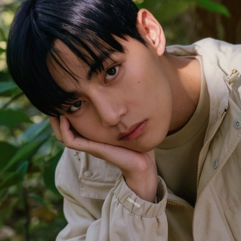 뷔 (방탄소년단) 팬이 찍은 순간