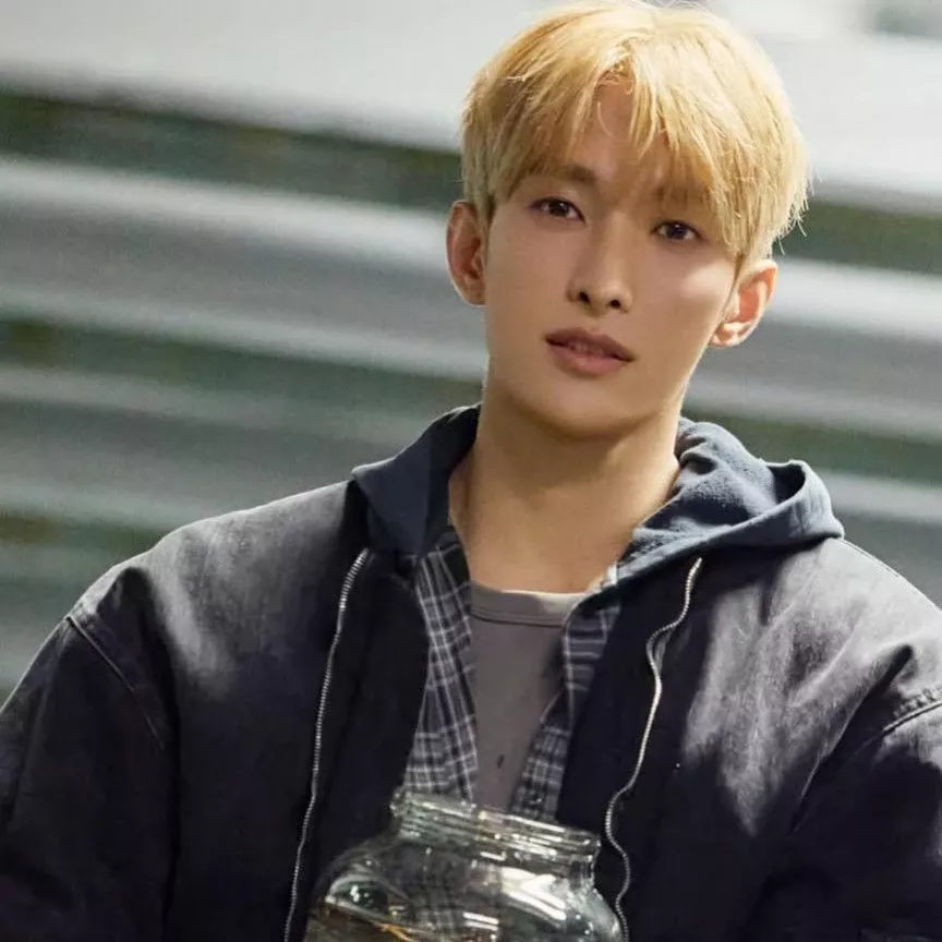 A moment captured by DK (SEVENTEEN)'s fan