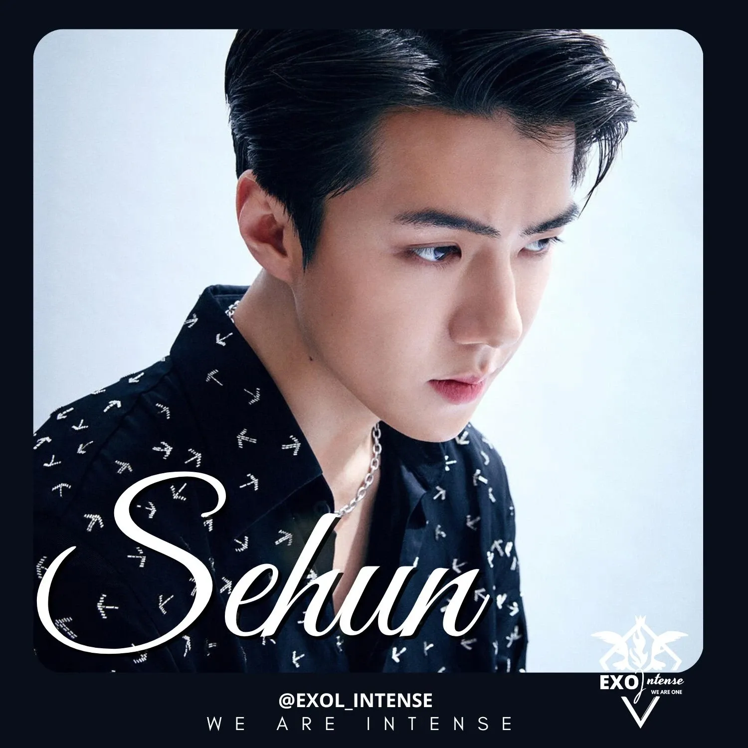 EXO 팬이 찍은 순간