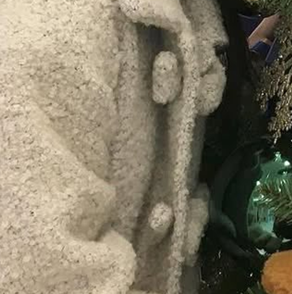 Go Won (Loossemble)的幕後花絮