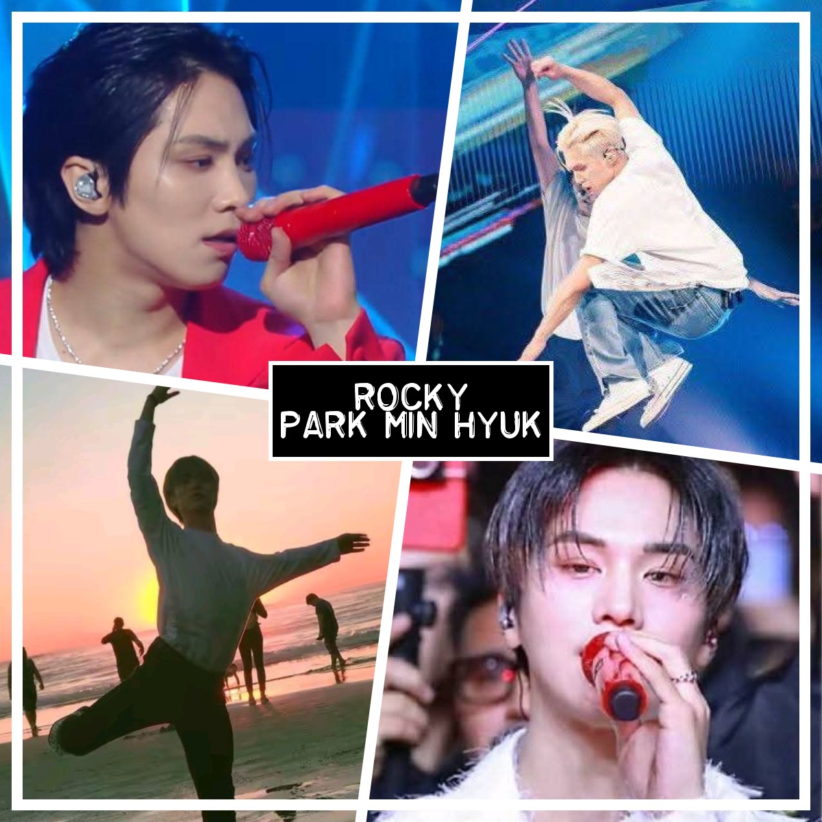 Recent activity shot of Rocky