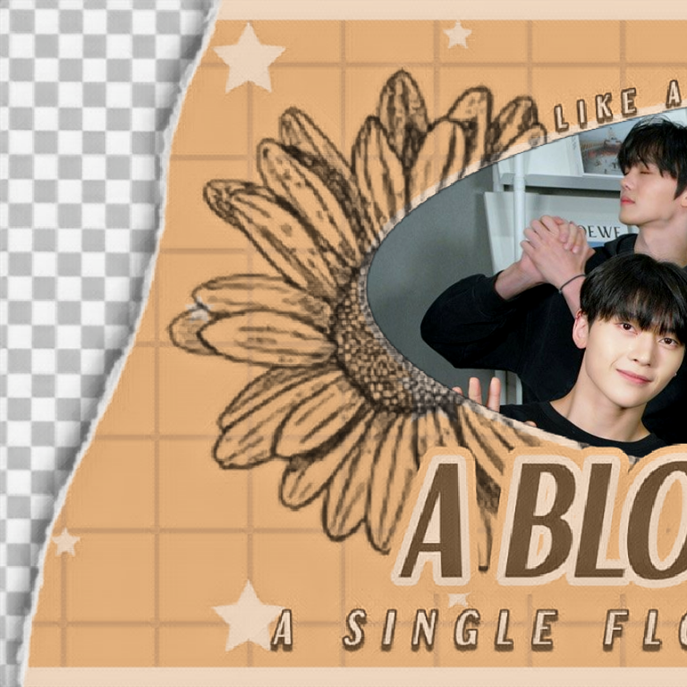 Latest photo of ZEROBASEONE