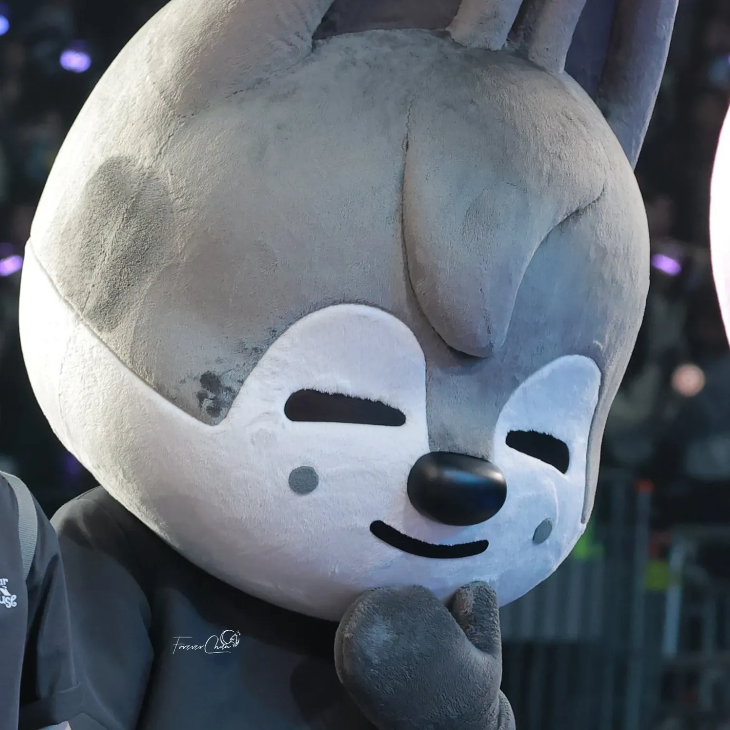 方灿 (Stray Kids)的最新照片