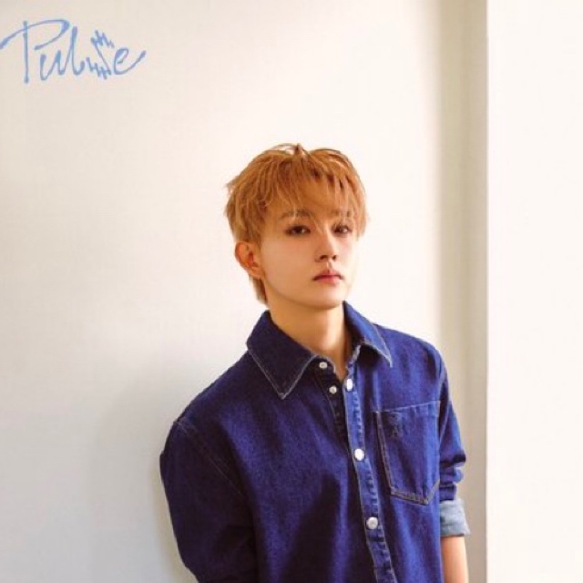 타지마 쇼고 (INI) 팬이 찍은 순간