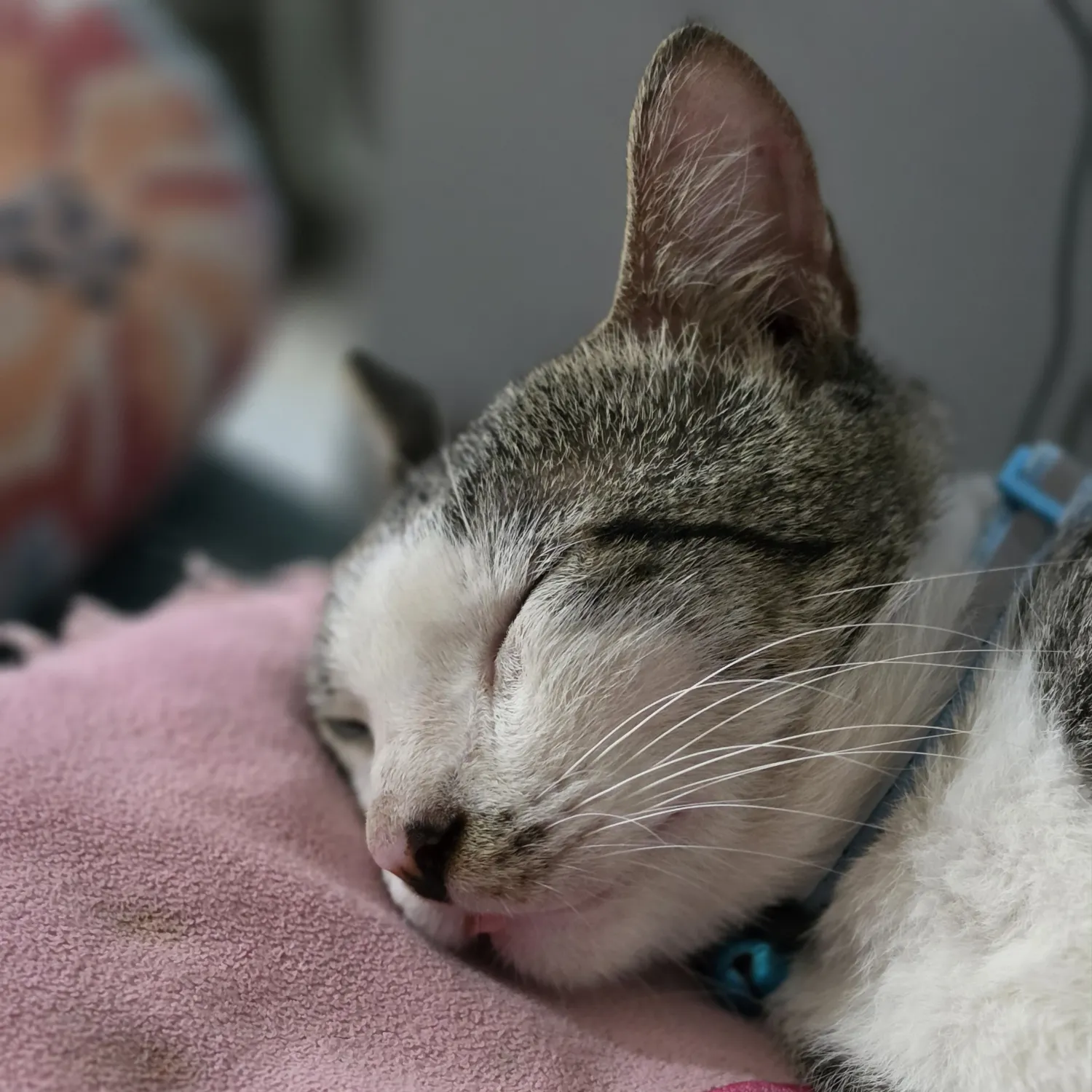 SEVENTEEN的幕後花絮