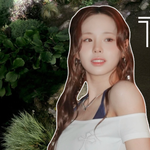 コミュニティで話題の人気アイドルコンテンツ