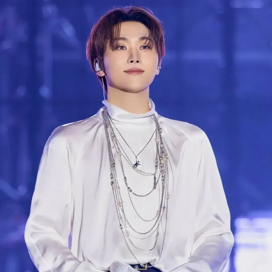 勝寛 (SEVENTEEN)粉絲拍下的瞬間