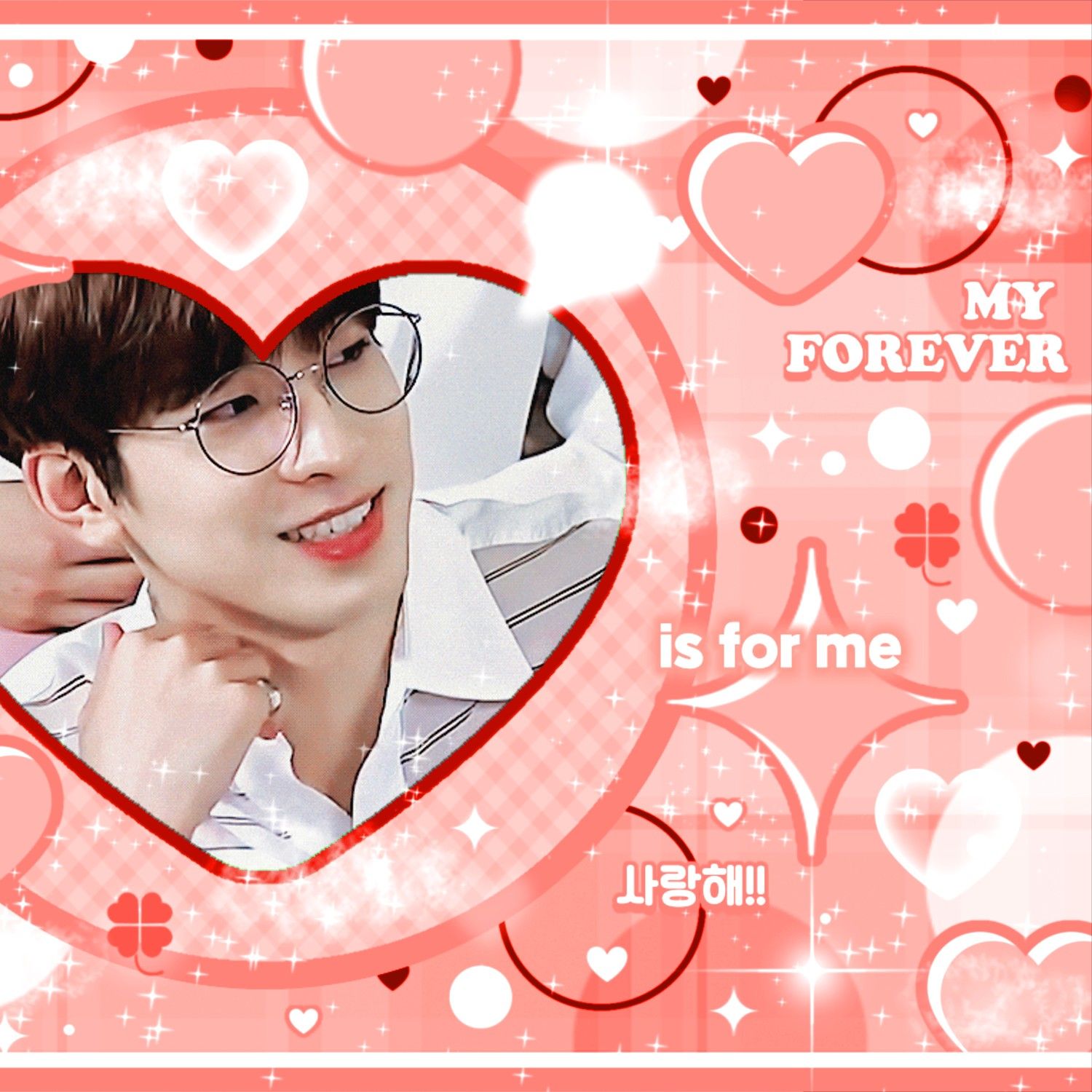 세븐틴 팬이 찍은 순간