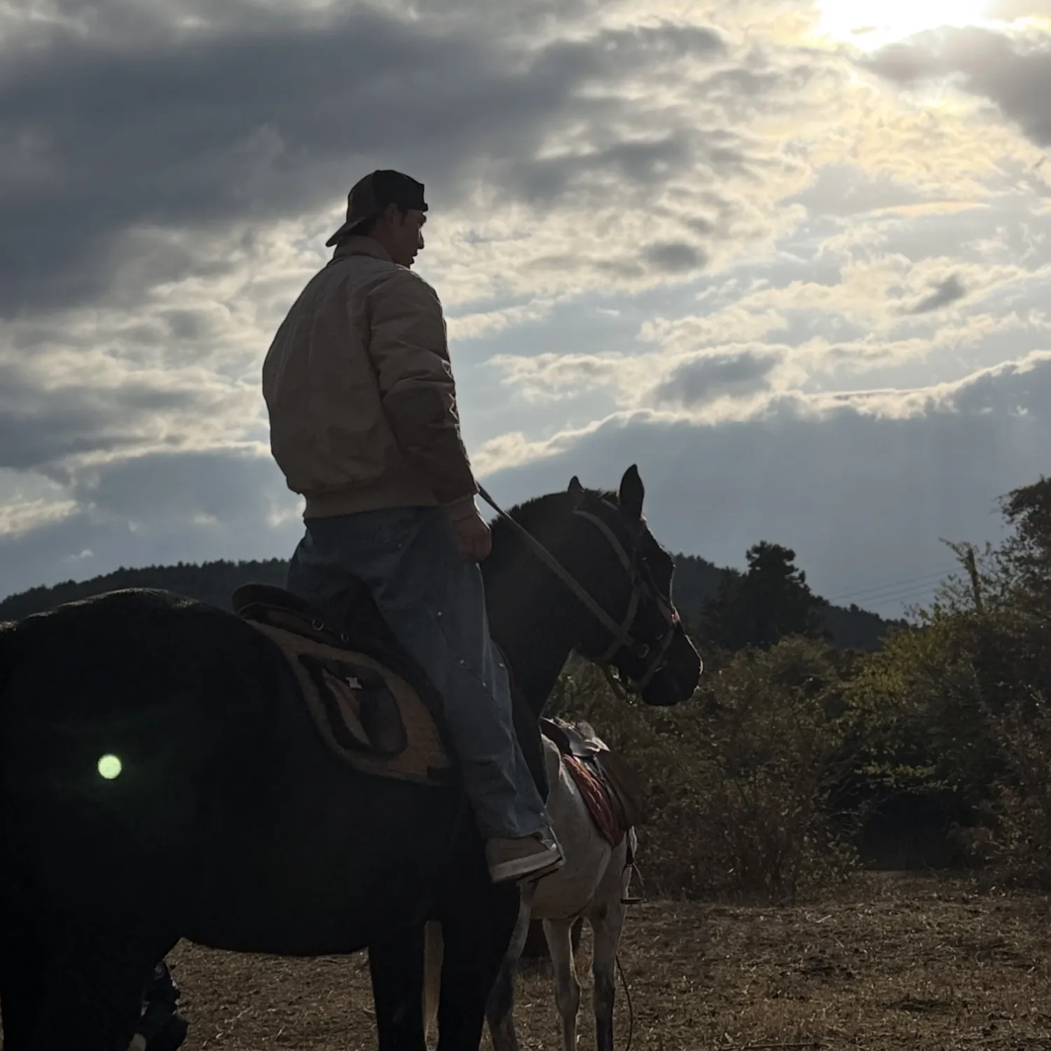 백호 최근 활동샷