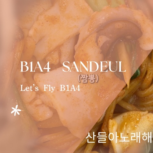 Potret di balik layar Sandeul (B1A4)