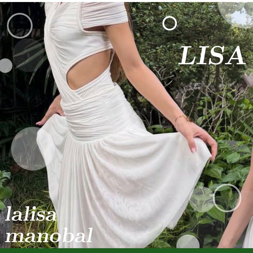 리사 (BLACKPINK) 팬이 찍은 순간