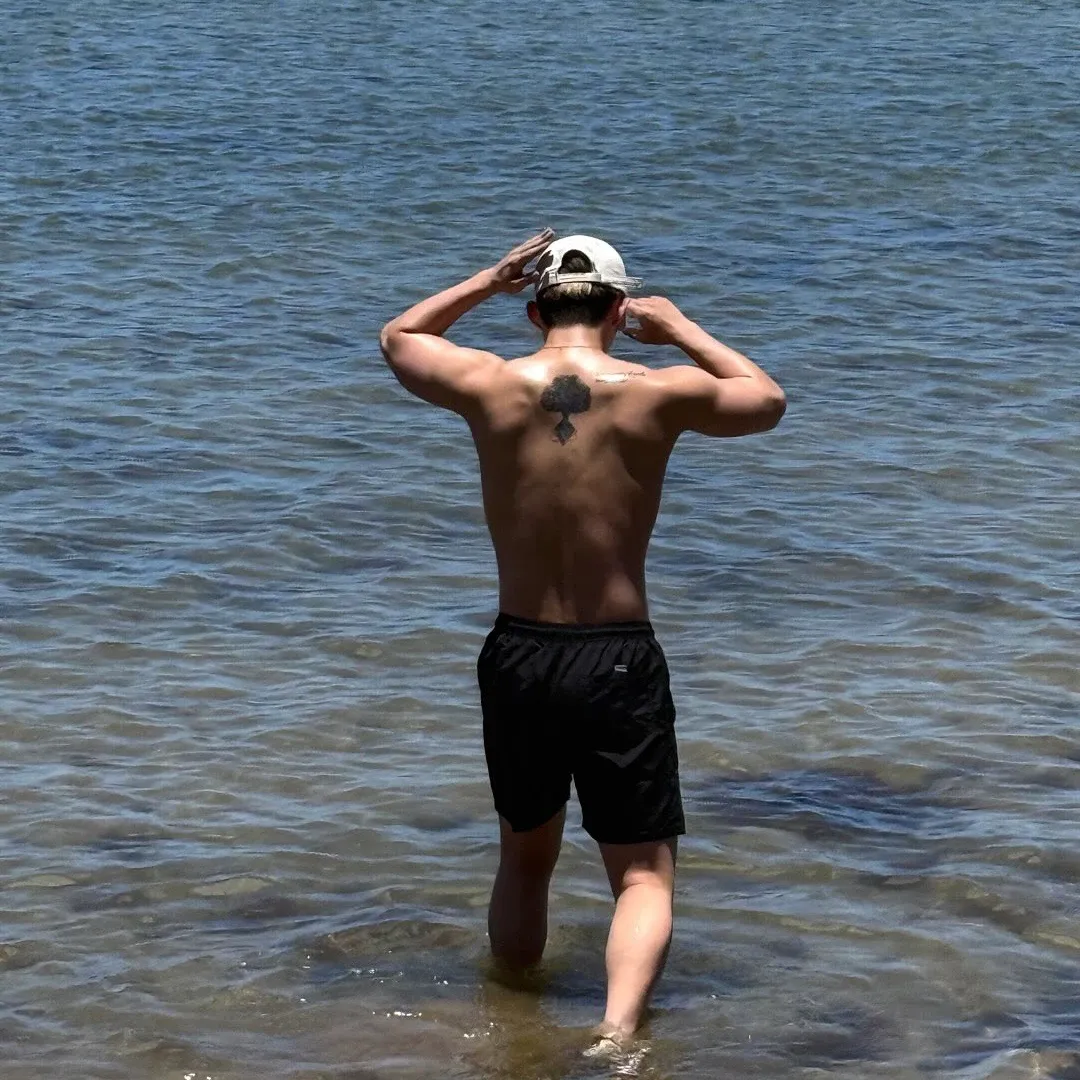 세븐틴의 최신 사진