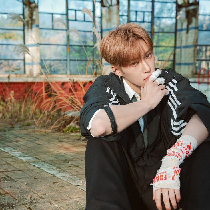 Latest photo of Arno (ALPHA DRIVE ONE)