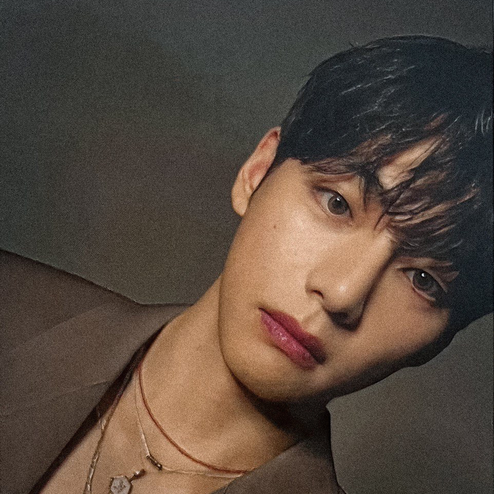 V (防彈少年團)的最新照片