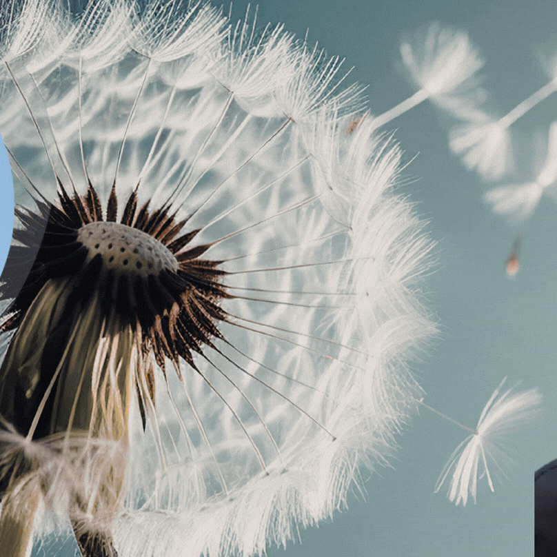 Behind-the-scenes cut of Moonbin (ASTRO)