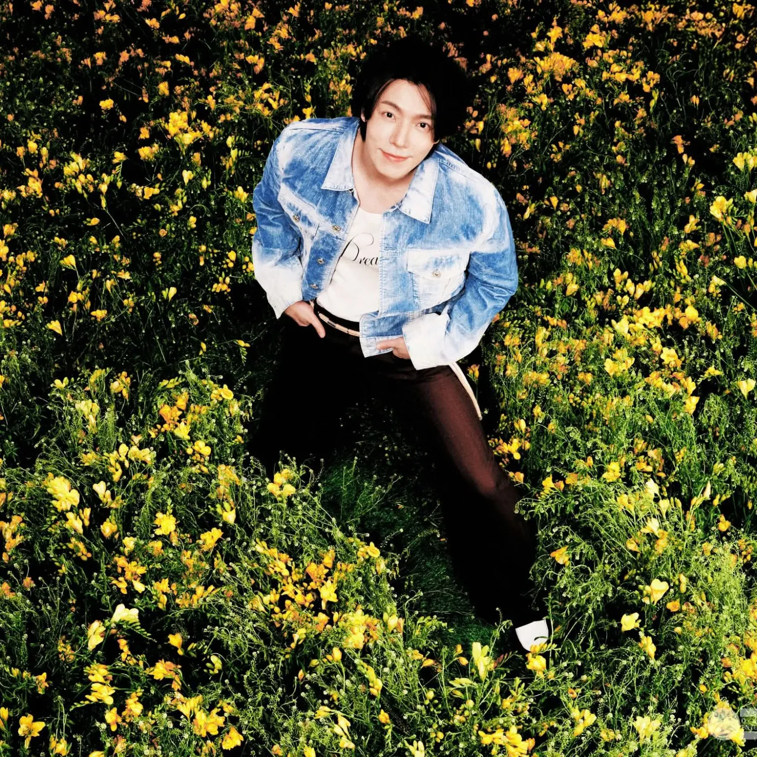 Foto aktivitas terbaru Super Junior