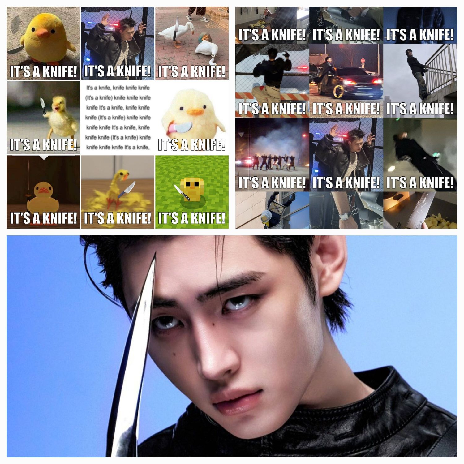 ENHYPEN的最新照片