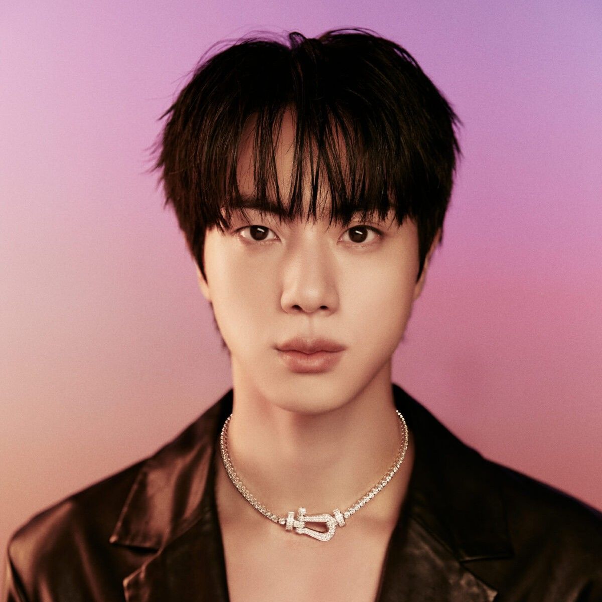 진 (방탄소년단) 팬이 찍은 순간