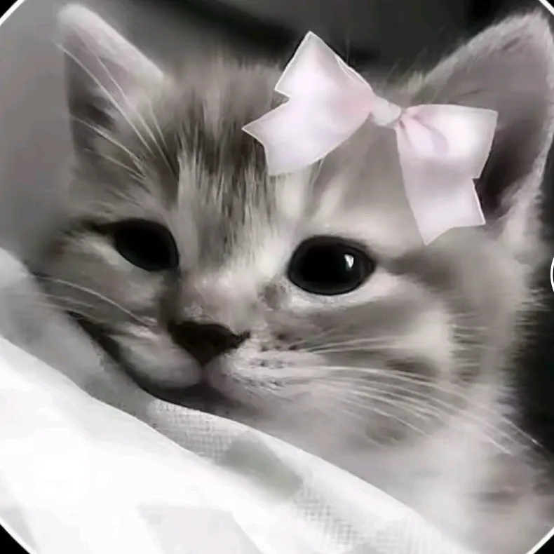 Foto terbaru Chiquita (BABYMONSTER)