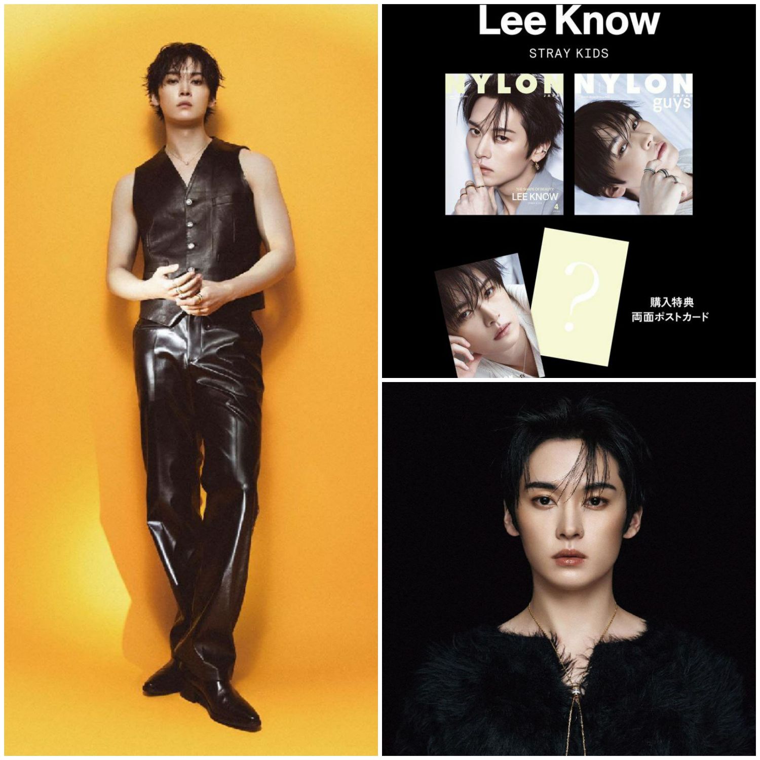 Lee Know (Stray Kids)的最新活动照片