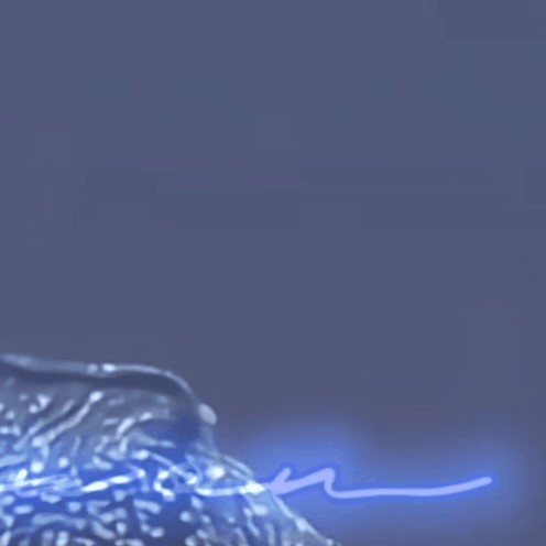 형원 (몬스타엑스) 팬이 찍은 순간