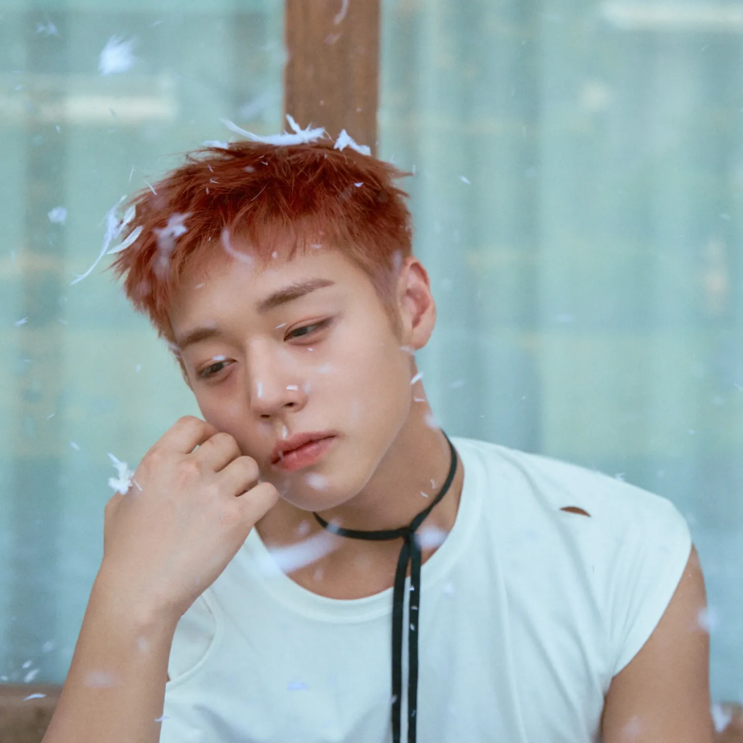 박지훈 팬이 찍은 순간