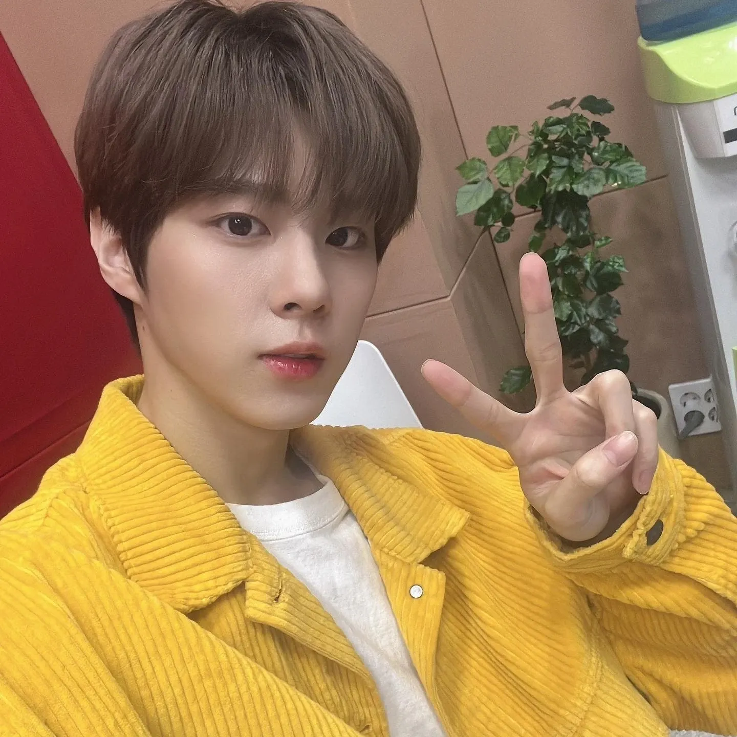김우석의 최신 사진