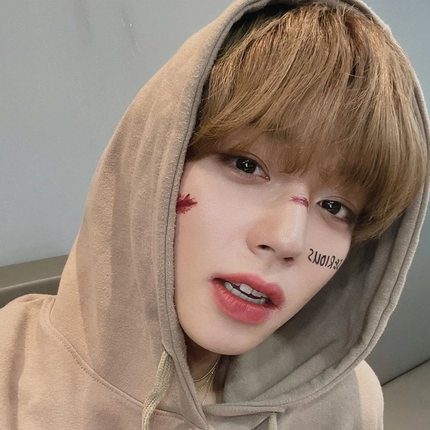 박지훈의 비하인드 컷