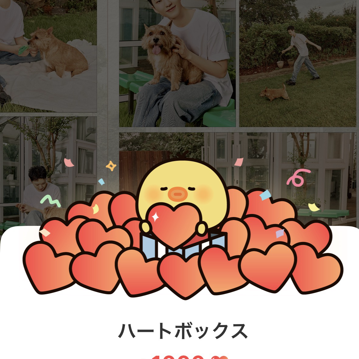 세븐틴의 최신 사진