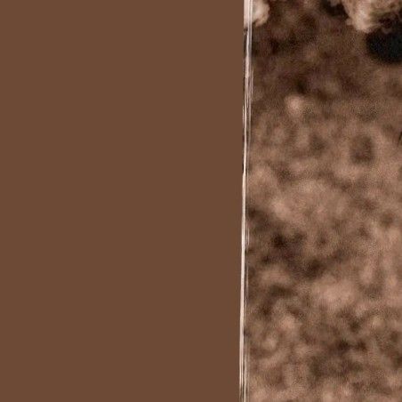 A moment captured by Wooyoung (ATEEZ)'s fan