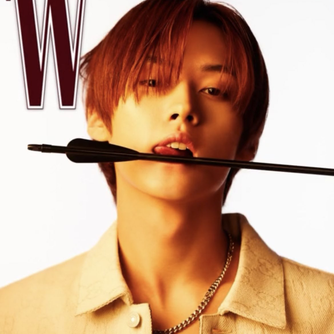 Recent activity shot of Lee Know (Stray Kids)