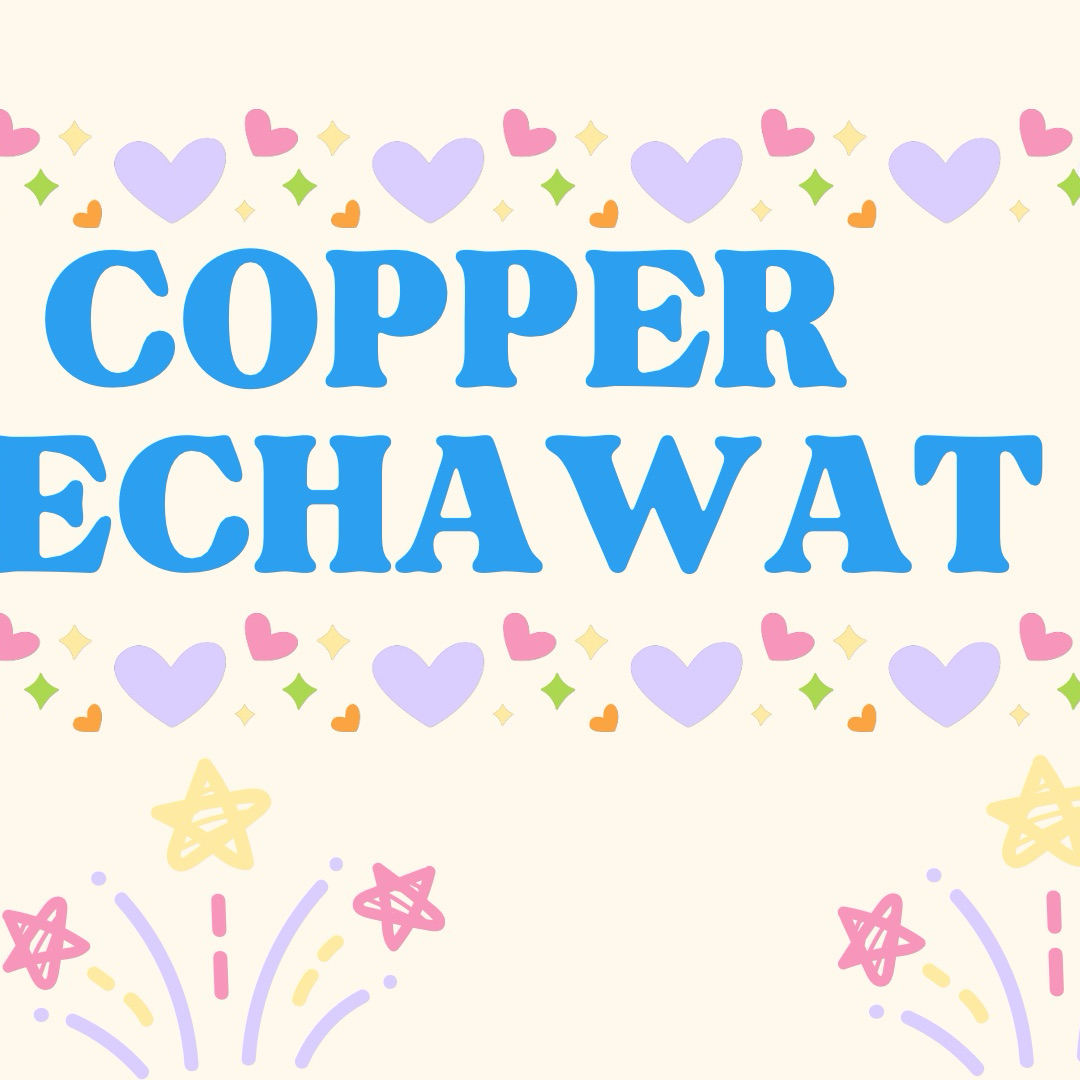 코퍼 (BUS) 최근 활동샷