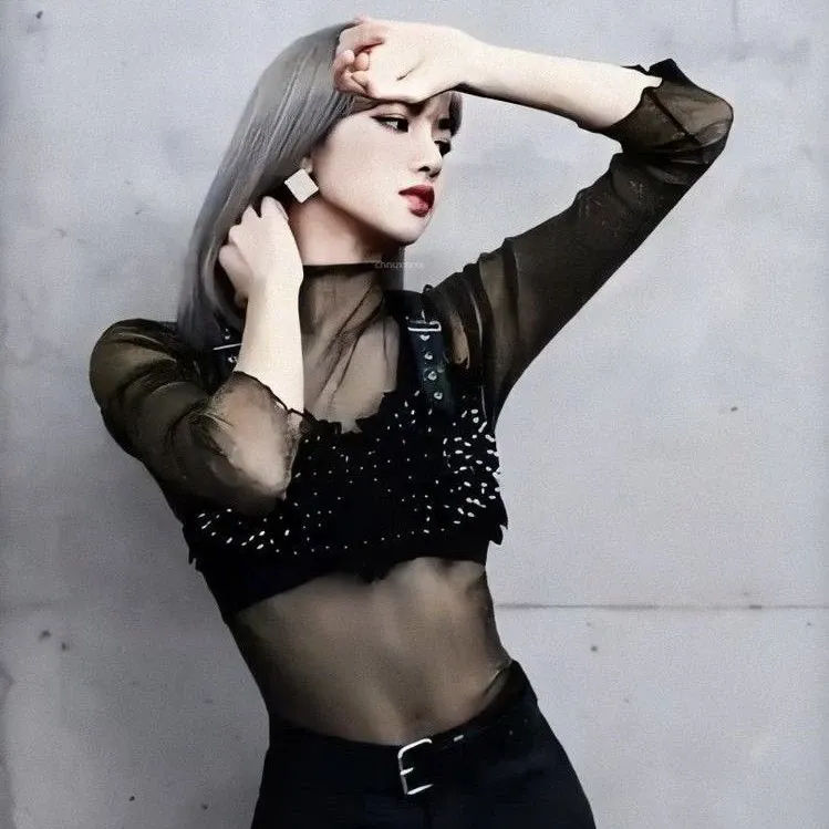A moment captured by Lisa (BLACKPINK)'s fan
