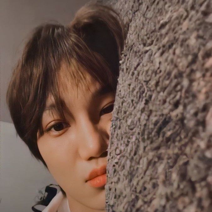 EXO 팬이 찍은 순간