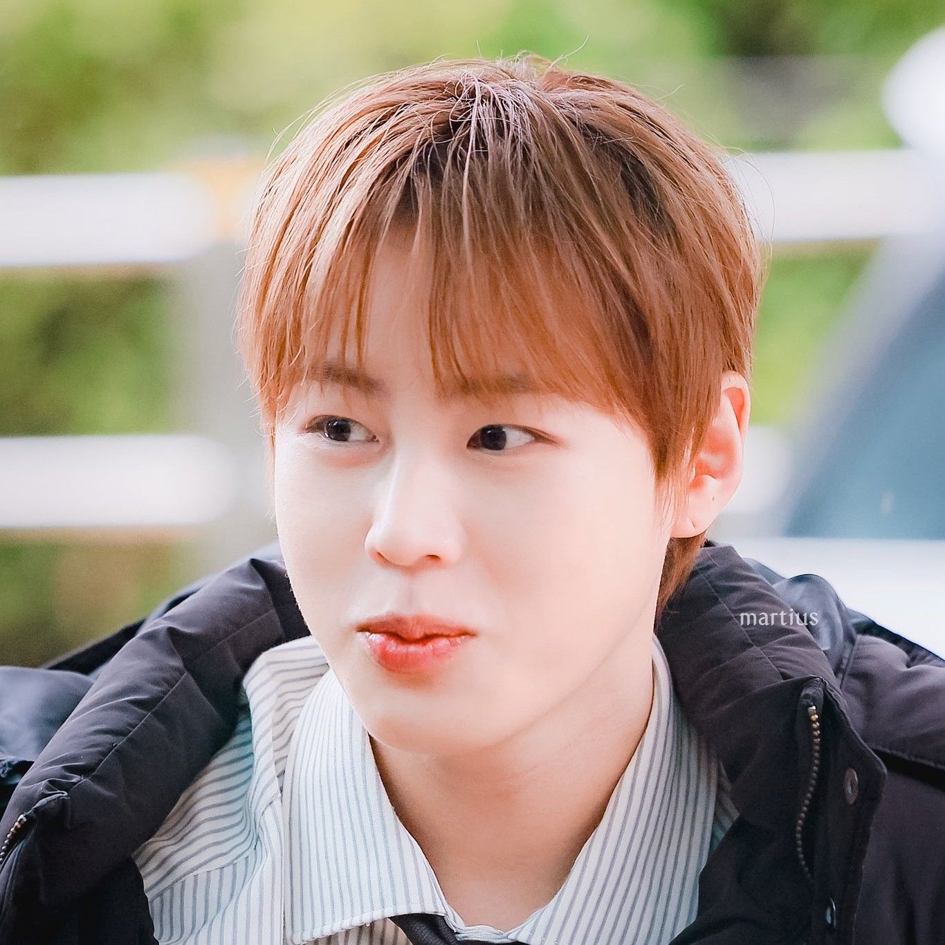 Latest photo of Ha Sungwoon