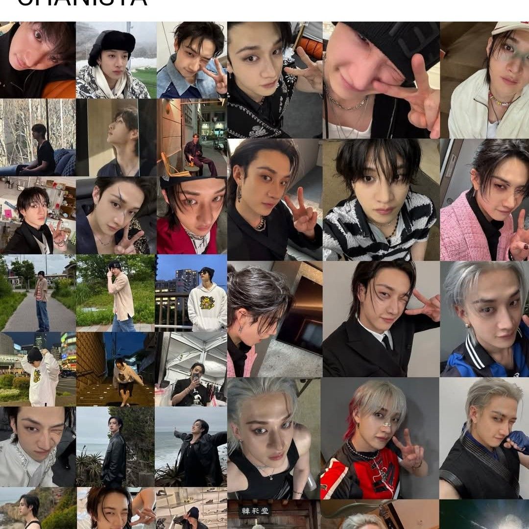 Stray Kids 팬이 찍은 순간