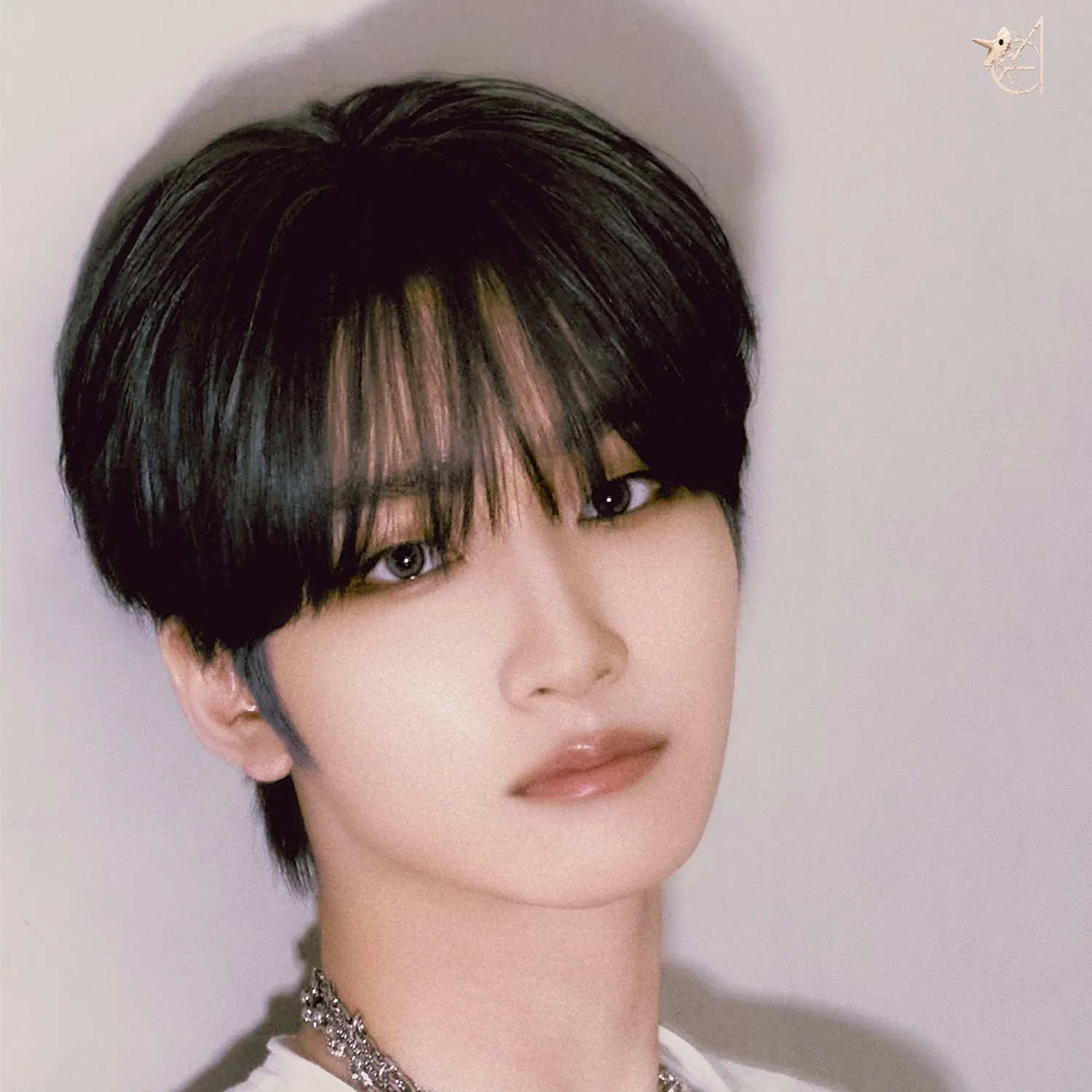 EPEX Jeff Fandom Community │ No.1 KPOP App CHOEAEDOL